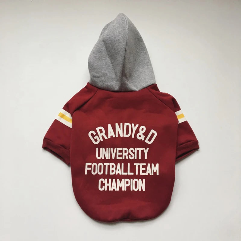 Collegiate dog hoodie fit example