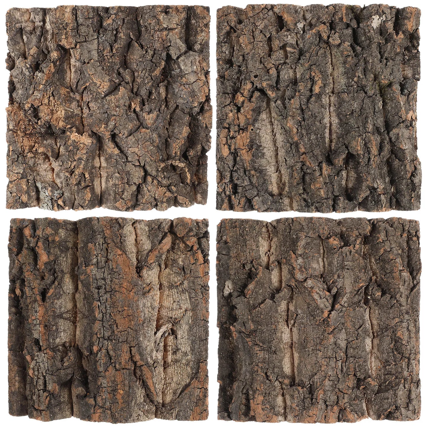 Background Cork Bark Tank Decor