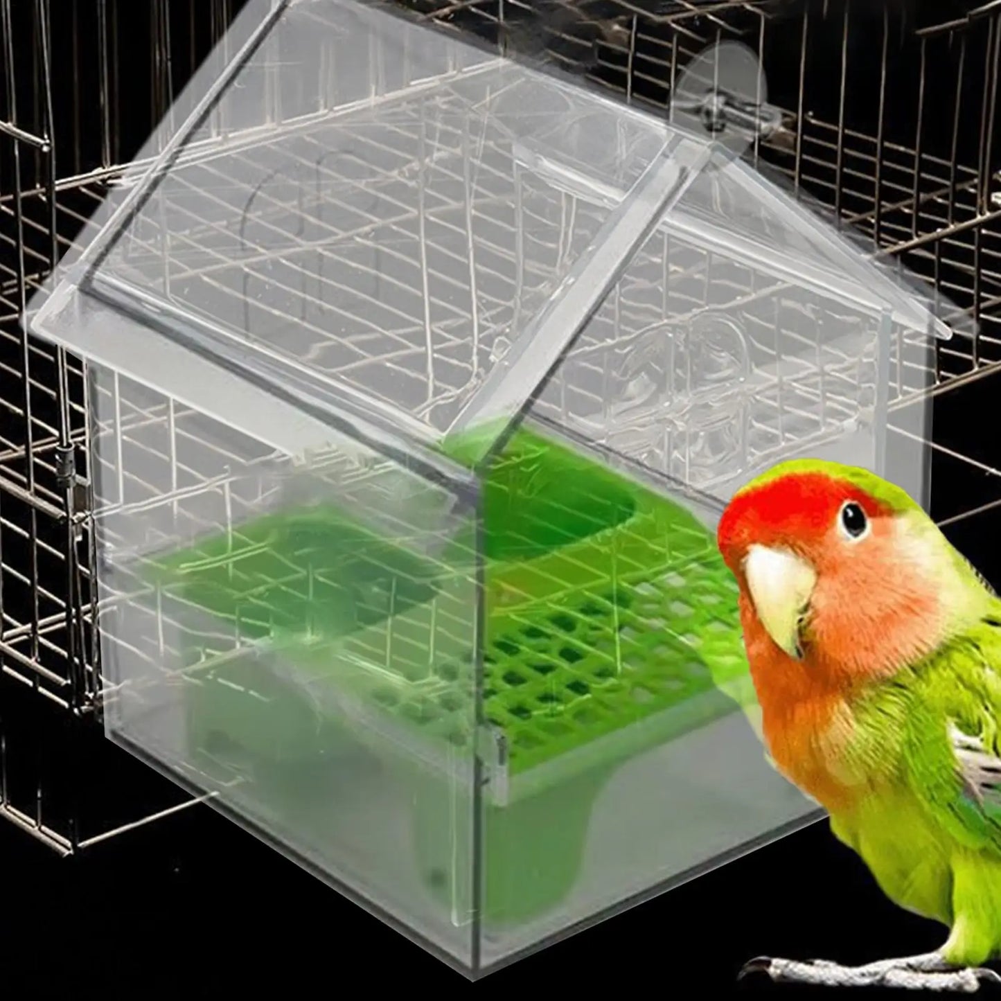 ABS Bird Feeder