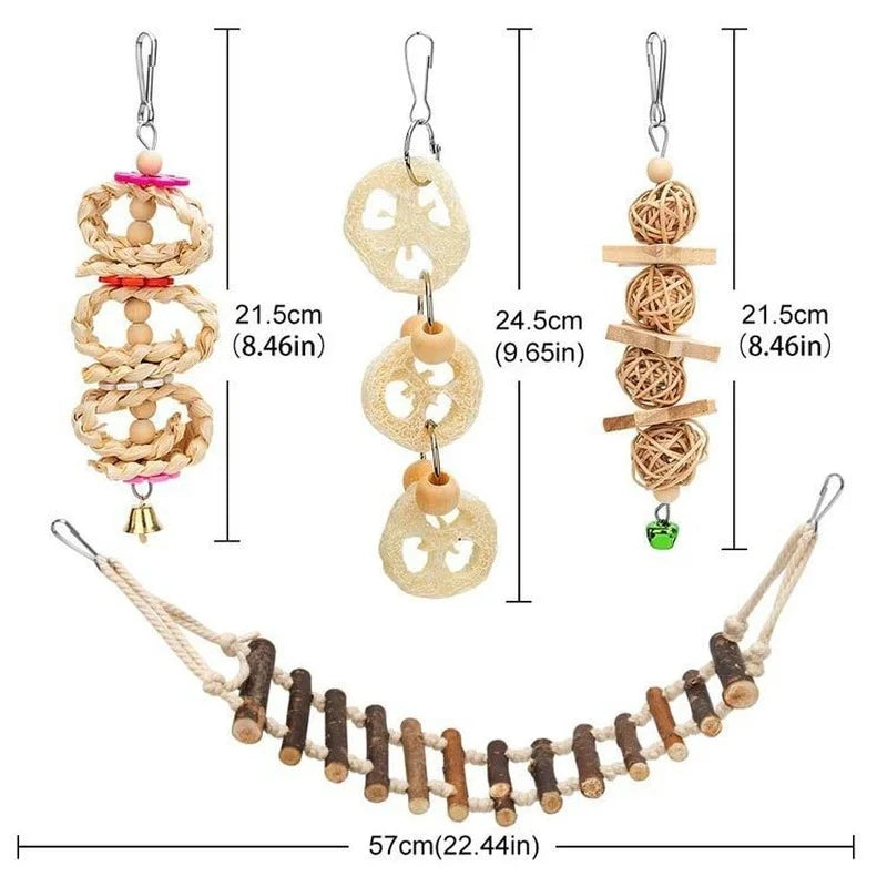 Toys for Parrot Training