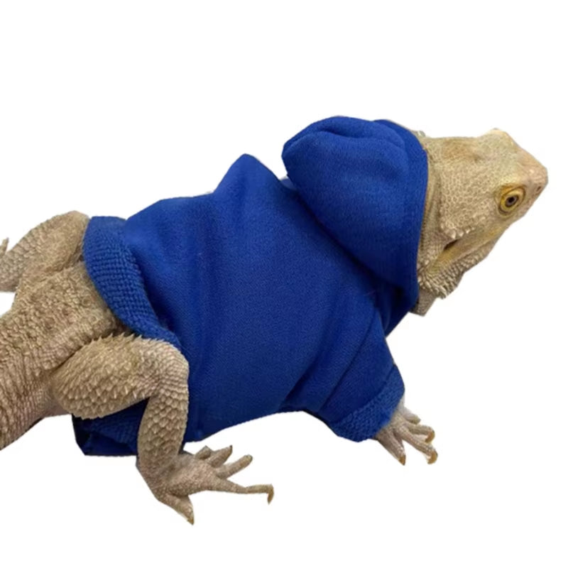 Bearded Dragon Costume