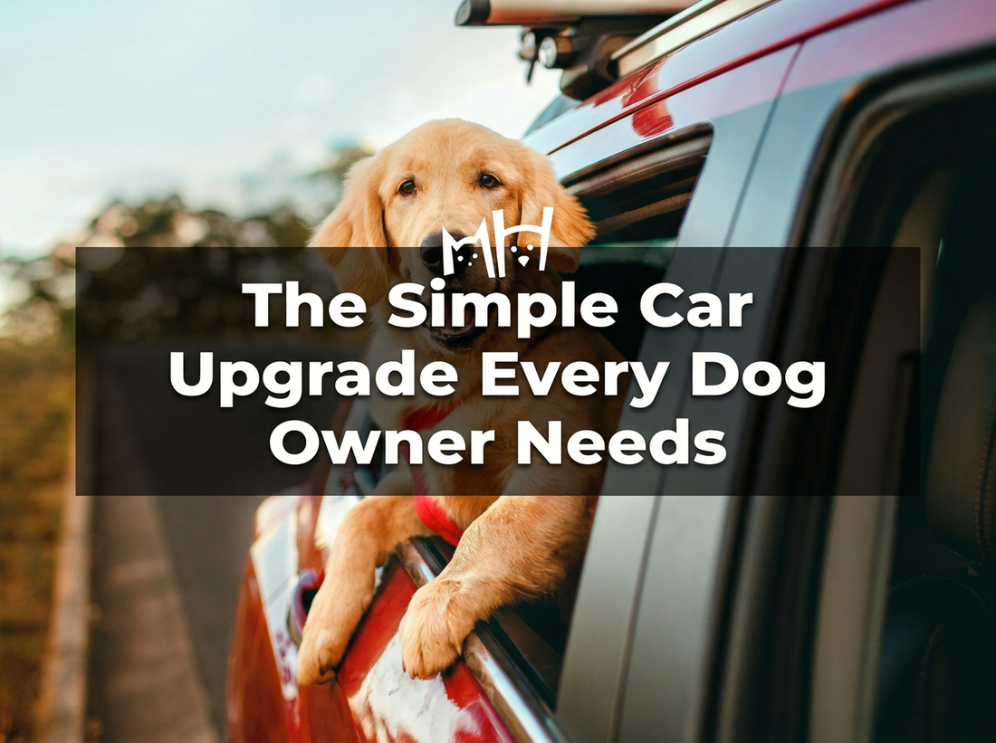 The Simple Car Upgrade Every Dog Owner Needs