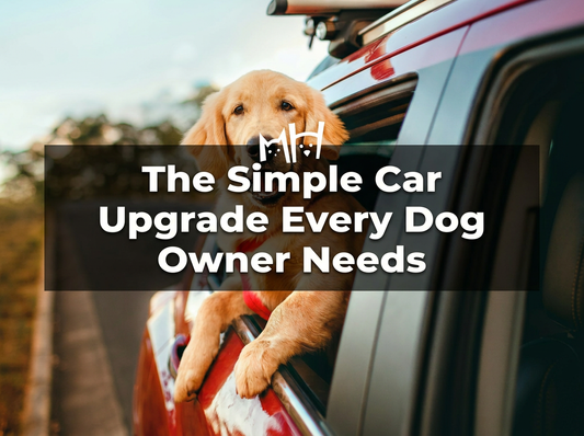 The Simple Car Upgrade Every Dog Owner Needs
