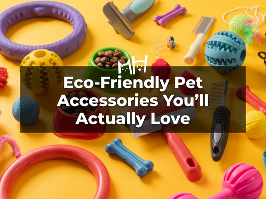 Eco-Friendly Pet Accessories You’ll Actually Love