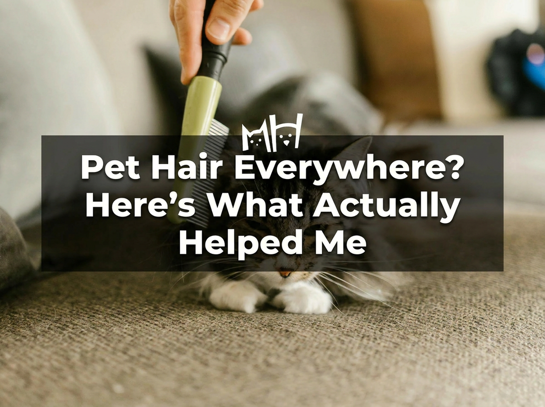 Pet Hair Everywhere? Here’s What Actually Helped Me