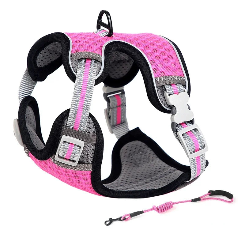 Cat Harness and Leash for Walking