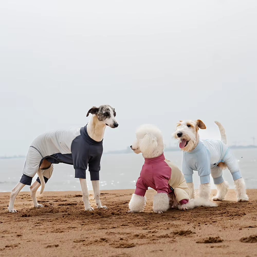 Summer Cooling Dog Vest UPF50+ 