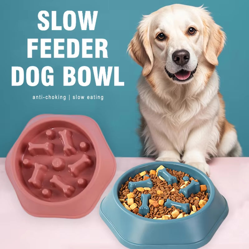 Slow Feeder Dog Bowl 