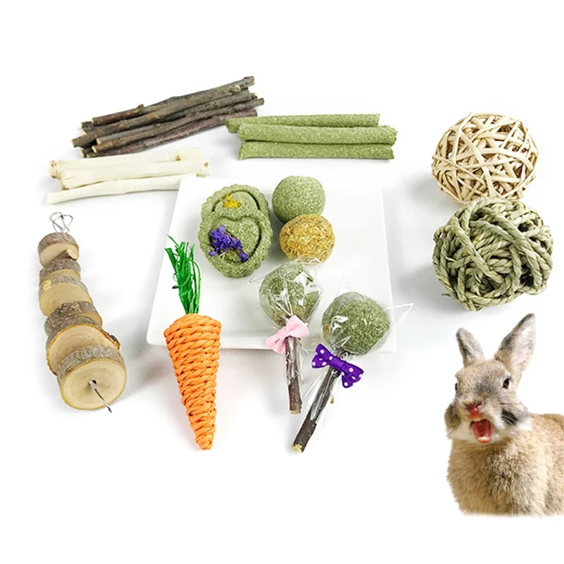 Rabbit Chew Toys Set
