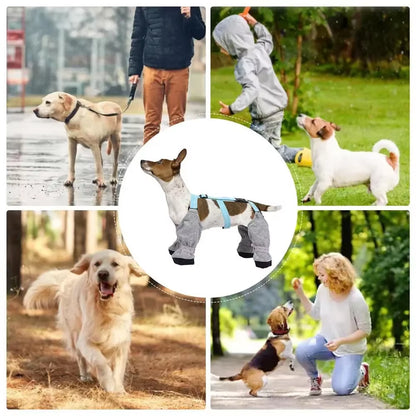 Dog Waterproof Leggings Paw Protection 