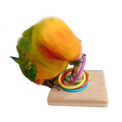 Interactive Bird Training Ring Toy for Parrots - Fun Educational Supplies in Random Colors