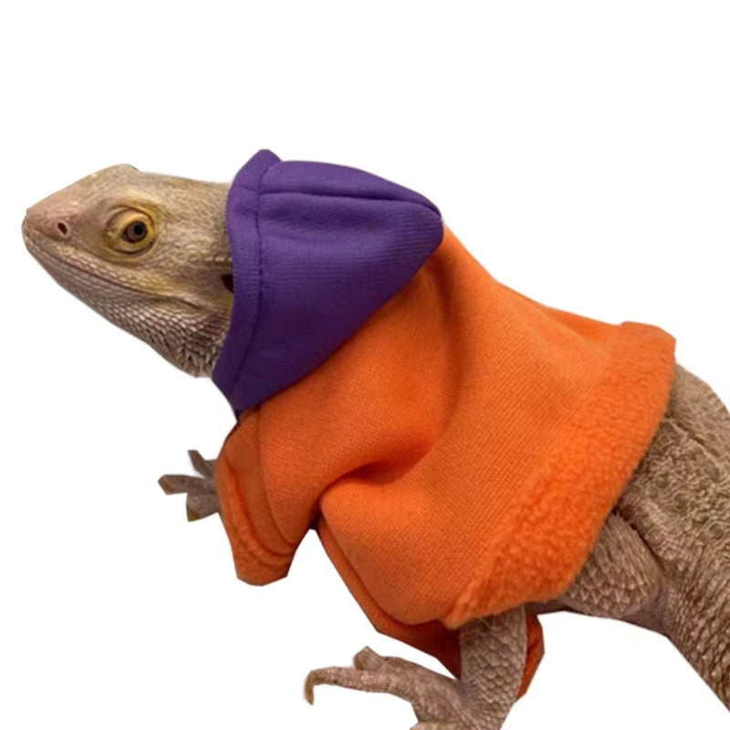 Bearded Dragon Costume 