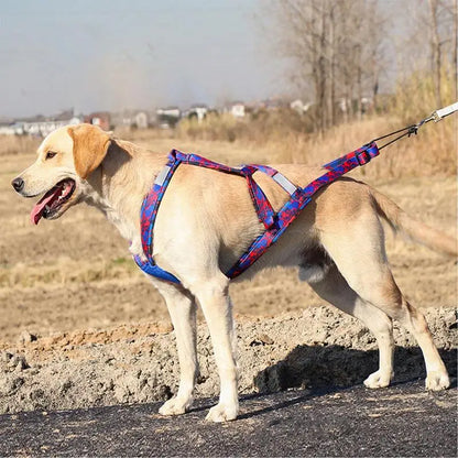 Dog Running Harness