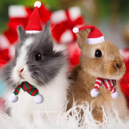 Hamster Christmas/Halloween Costume