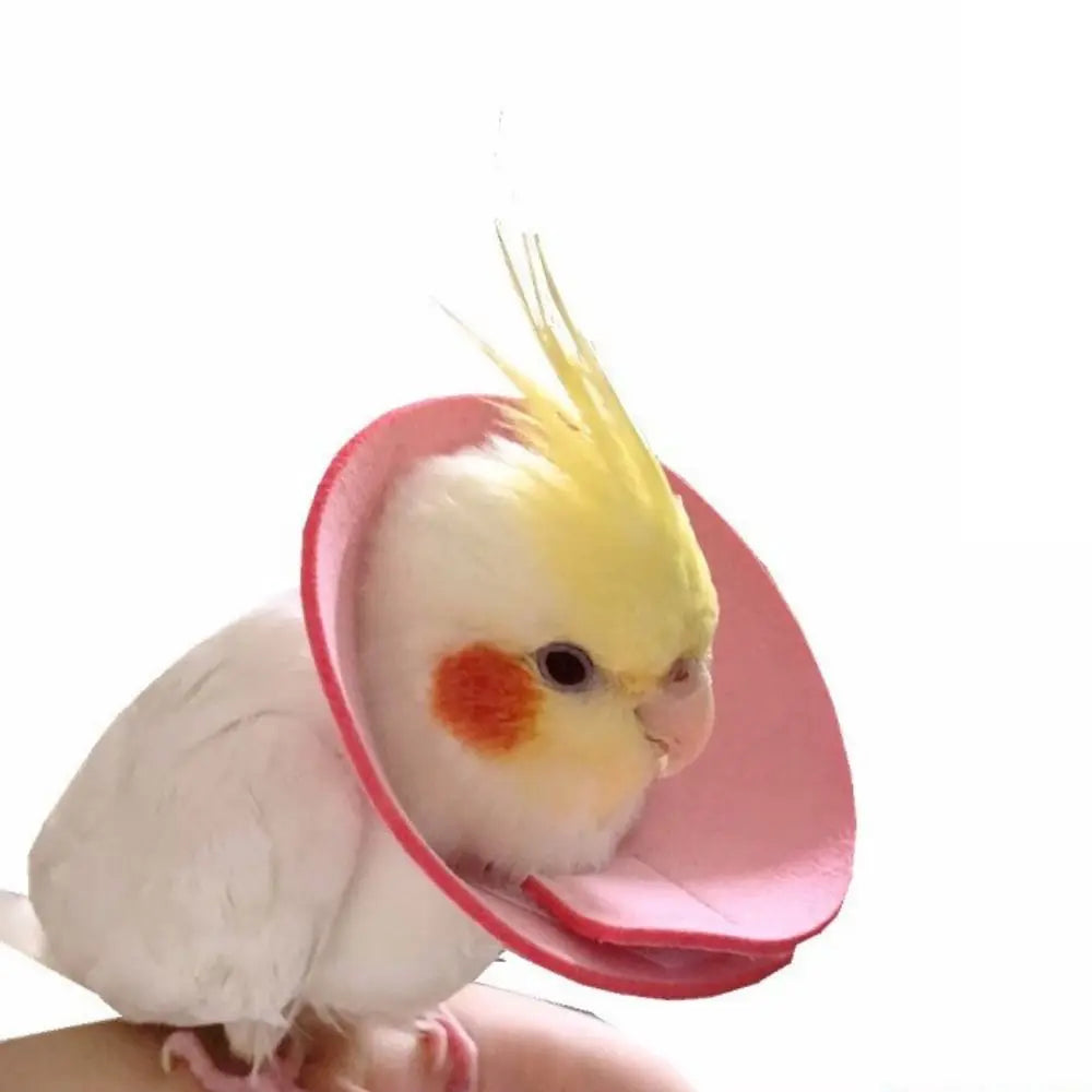 Adjustable Bird Anti-Bite Collar