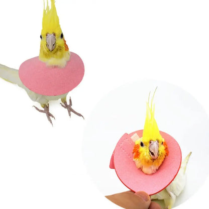 Adjustable Bird Anti-Bite Collar