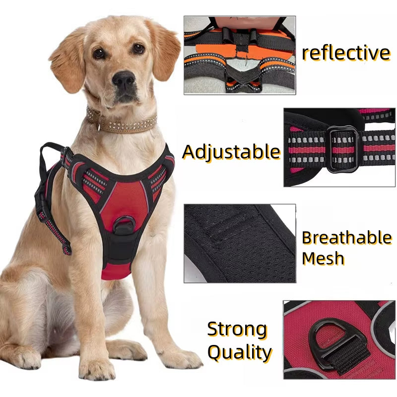 No-Pull Heavy Duty Dog Harness