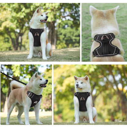 No-Pull Dog Harness