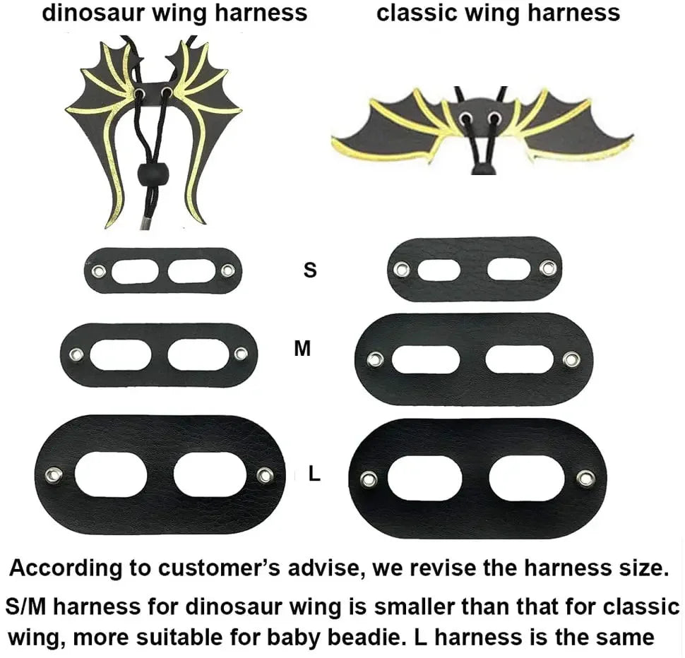 Bearded Dragon Leash Harness