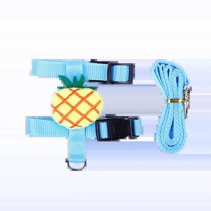 Pineapple harness and matching leash