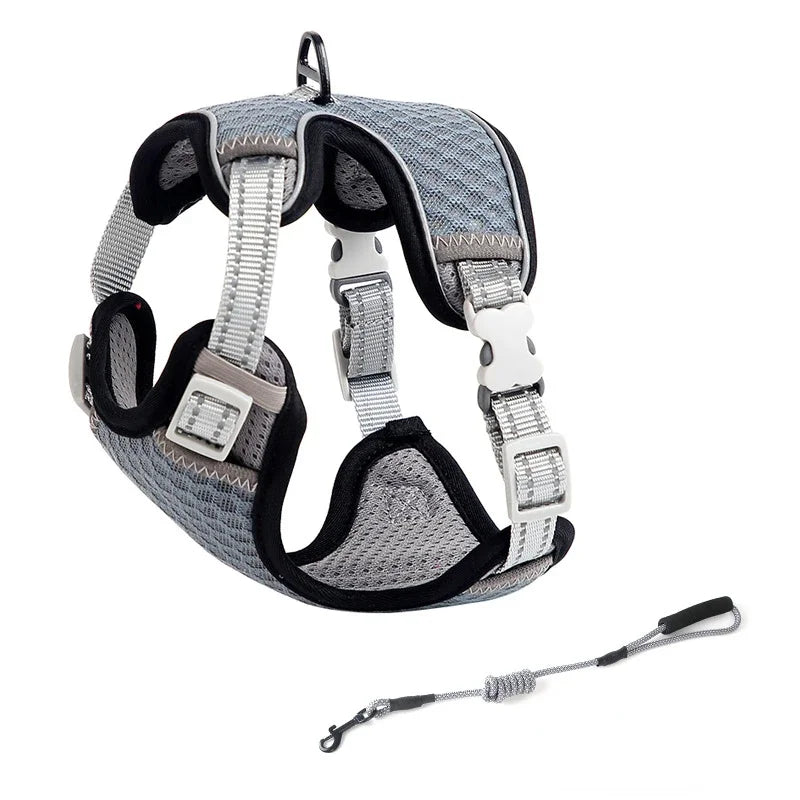 Cat Harness and Leash for Walking
