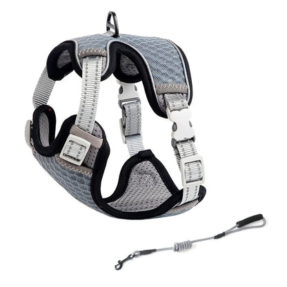Cat Harness and Leash for Walking