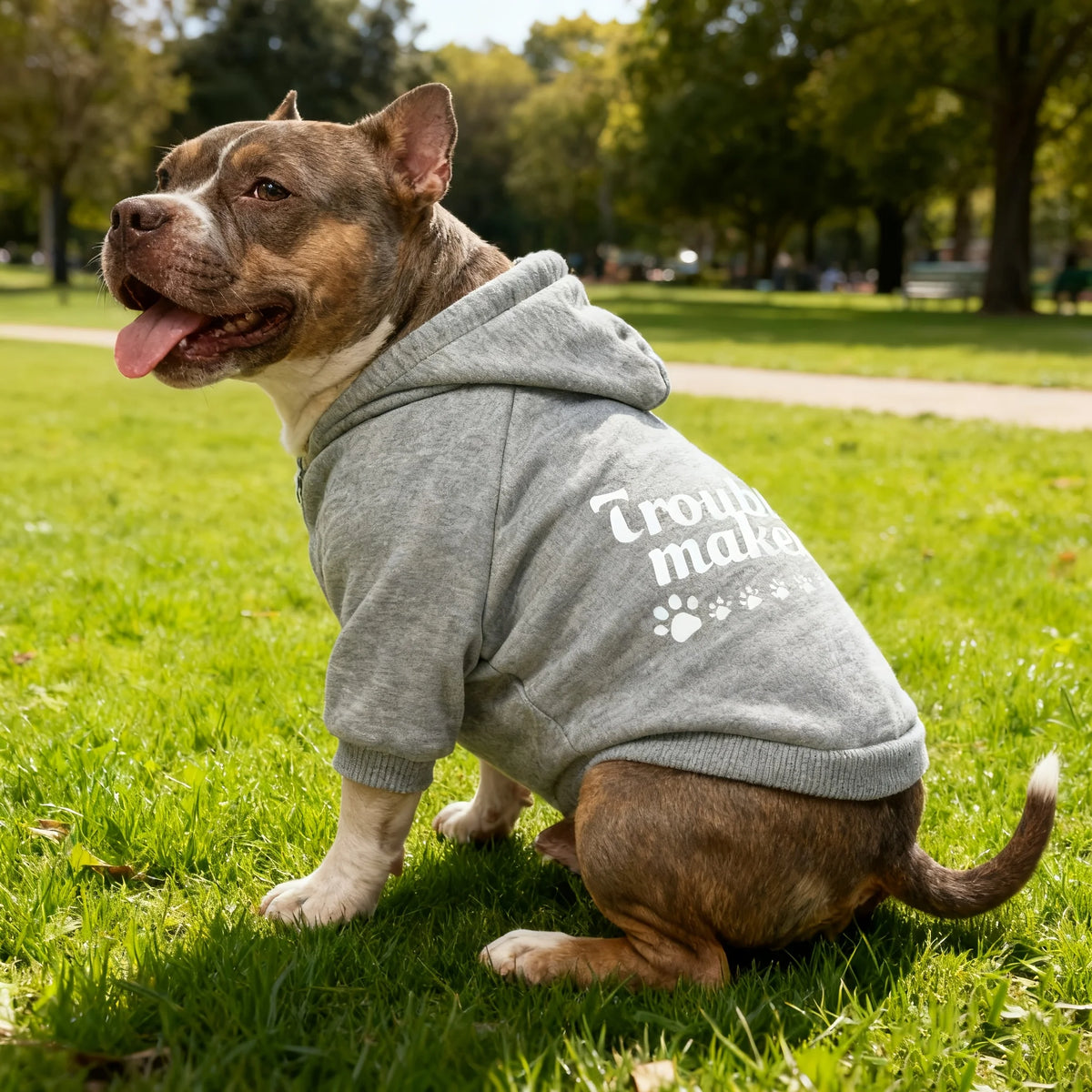 Trouble Maker Dog Hoodie 