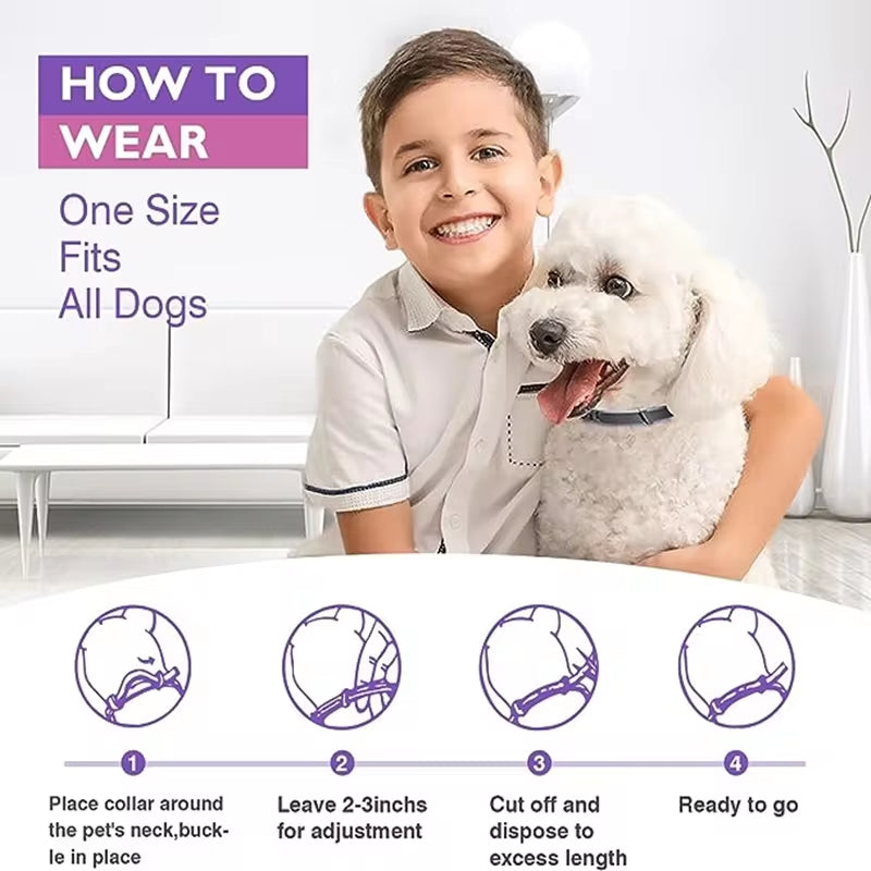 Pet Calming Collars 