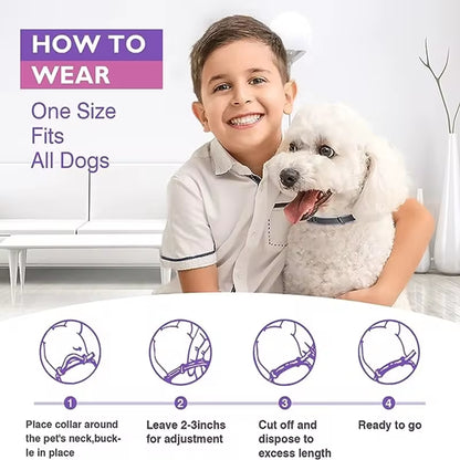Pet Calming Collars 