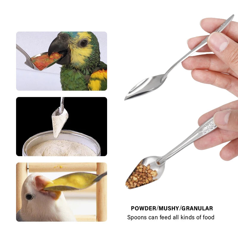 Bird Feeding Spoon 