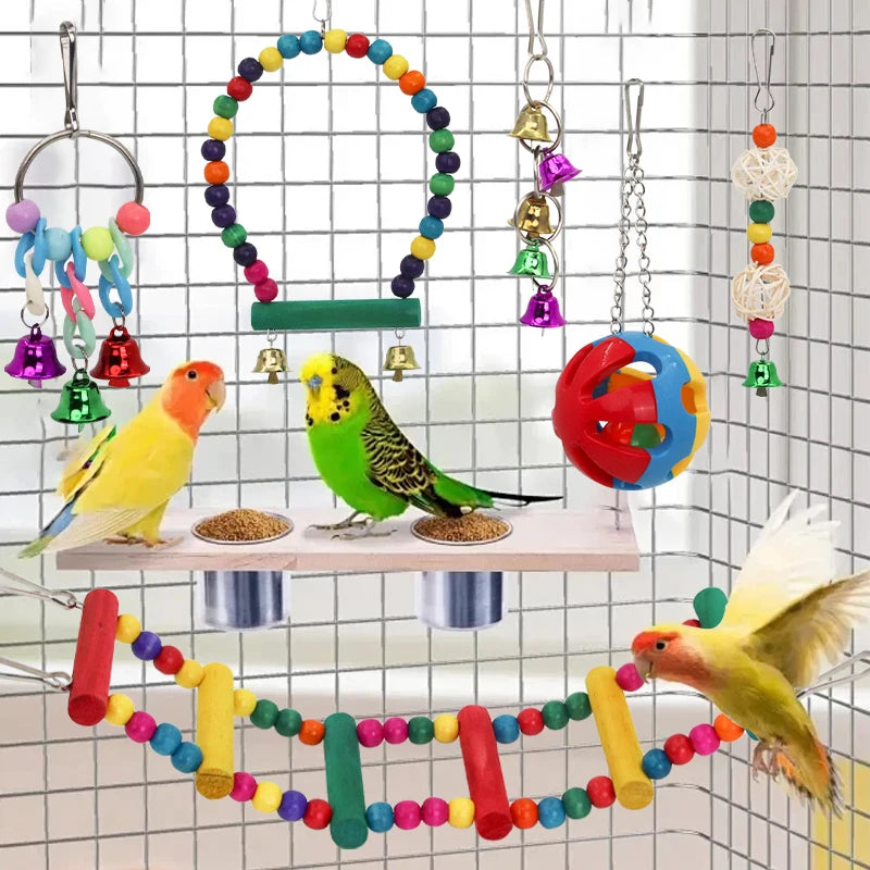 Bird Cage Swing 