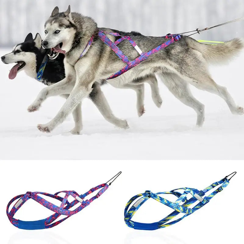 Dog Running Harness