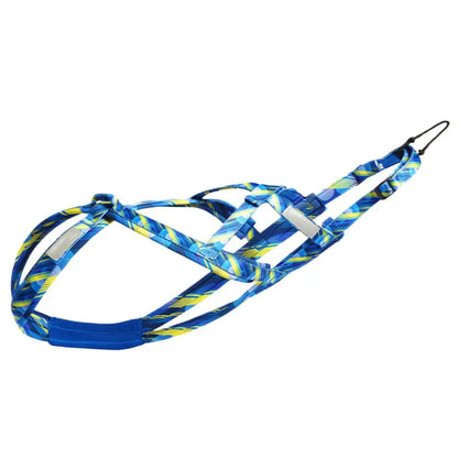 Dog Running Harness