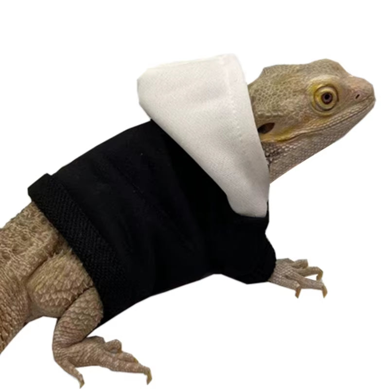 Bearded Dragon Costume 
