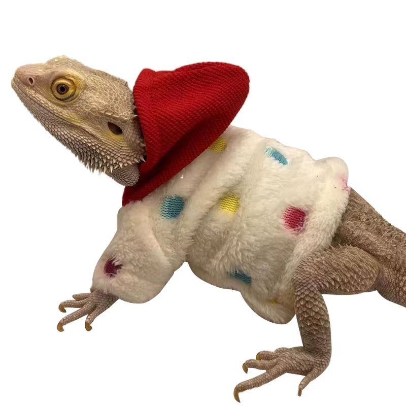 Bearded Dragon Costume 