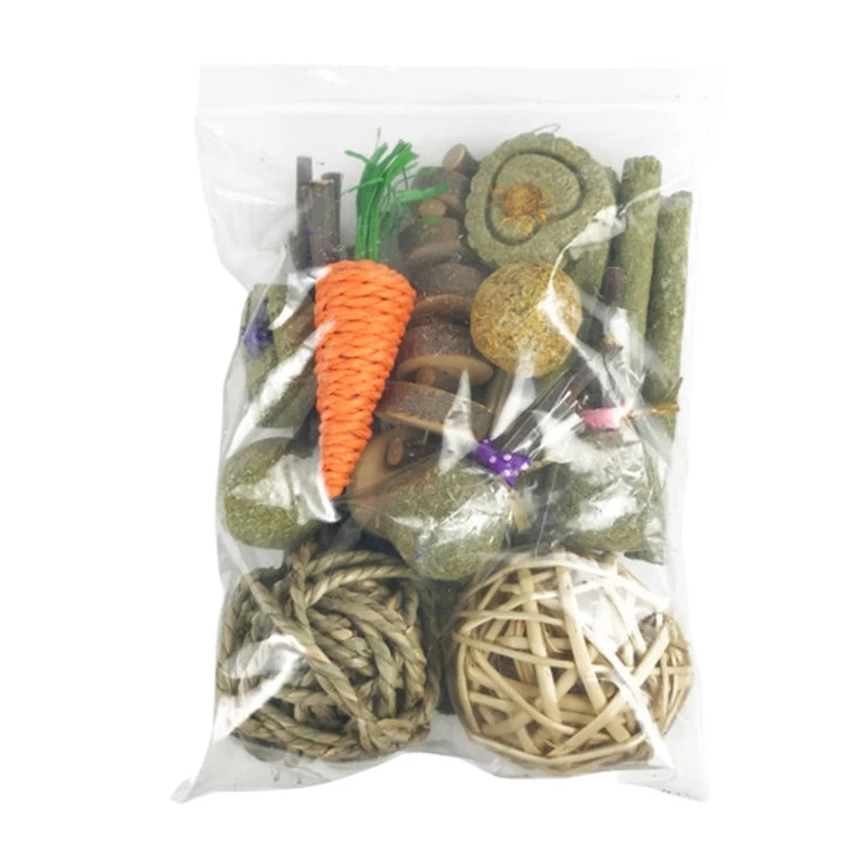 Rabbit Chew Toys Set