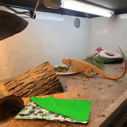 Bearded Dragon Bed with Pillow and Blanket