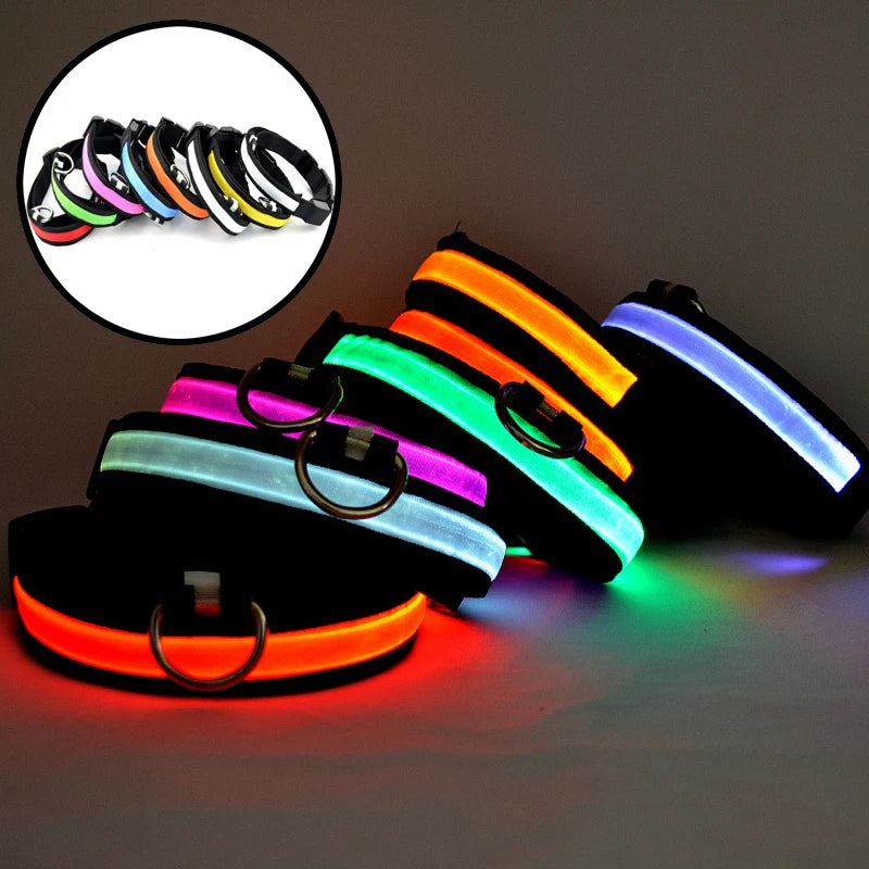 USB-Rechargeable Reflective Nylon LED Dog Collar — detail view 2