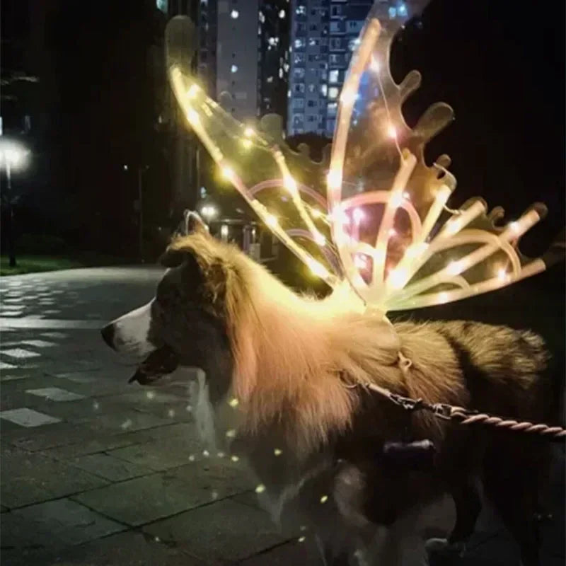 Warm-white butterfly-wing light string