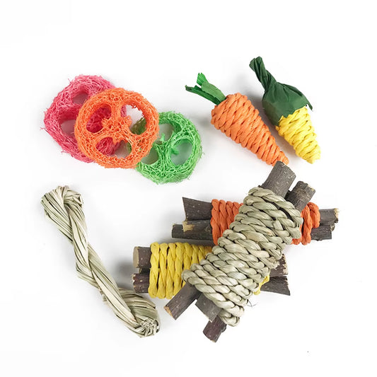 Small Pet Toy Set