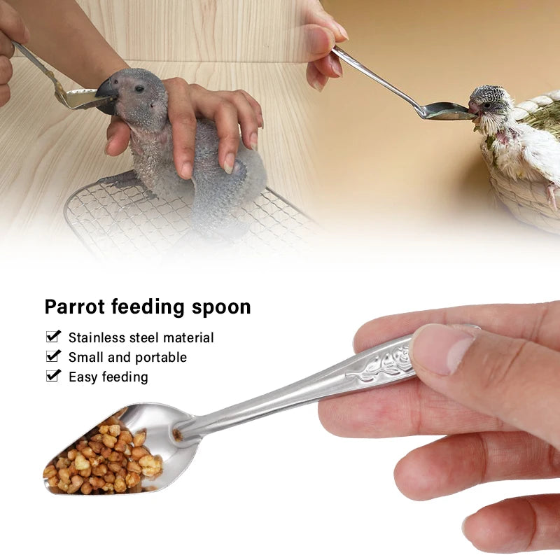 Bird Feeding Spoon 
