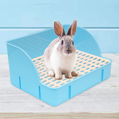 White rabbit sitting in the blue raised-grid litter box