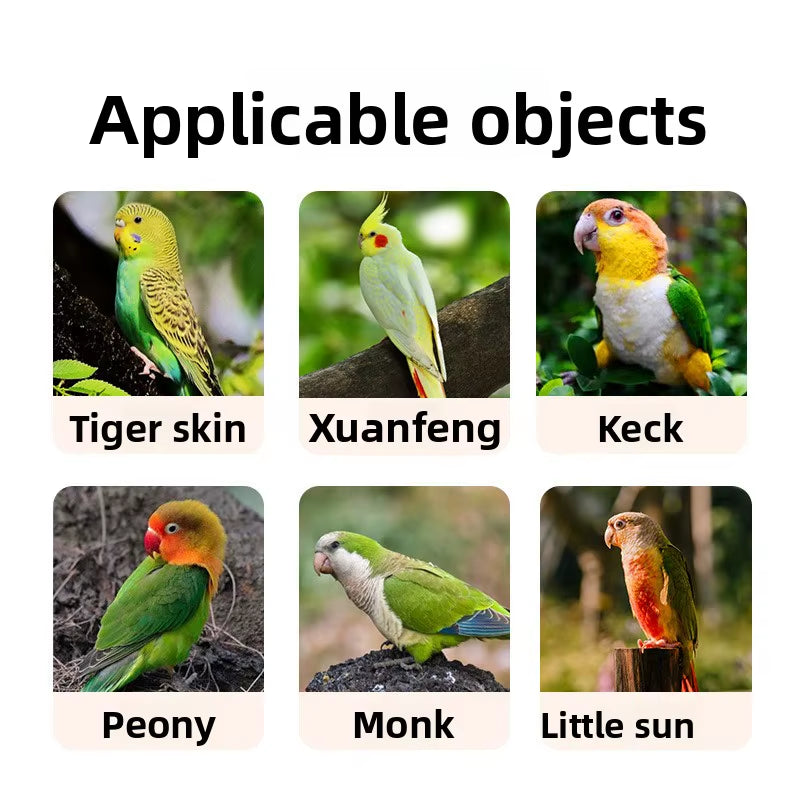 Bird Bathtub and Shower