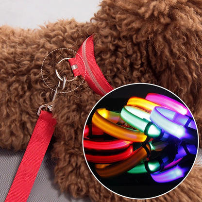 USB-Rechargeable Reflective Nylon LED Dog Collar