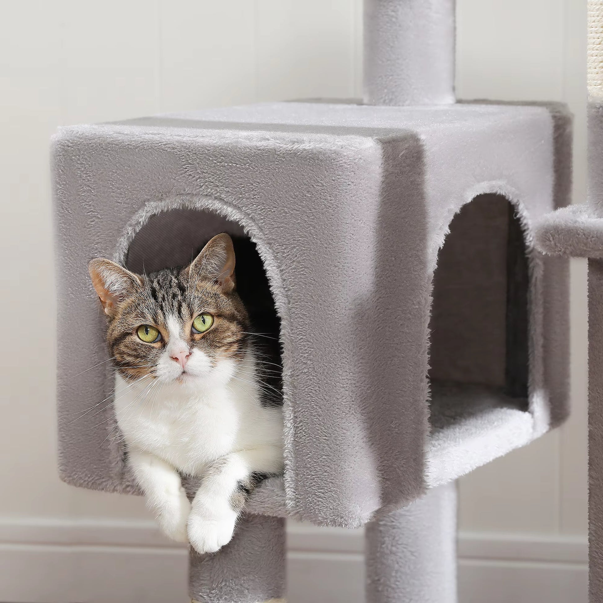 Luxury Cat Tree with Hammock, Scratching Posts & 2 Cozy Perches - Perfect Indoor Condo for Cats