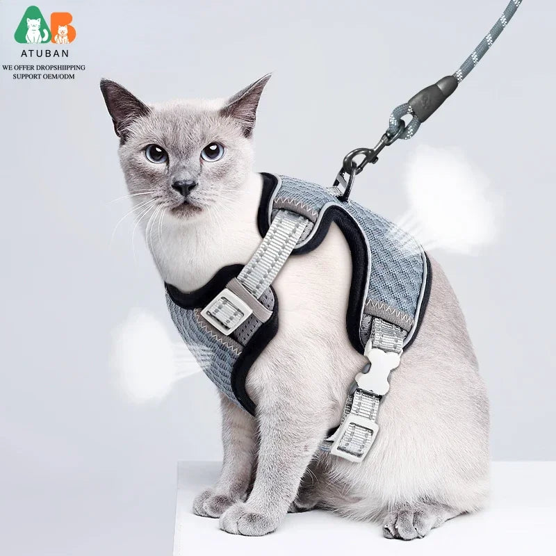 Cat Harness and Leash for Walking