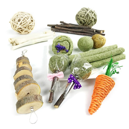 Rabbit Chew Toys Set