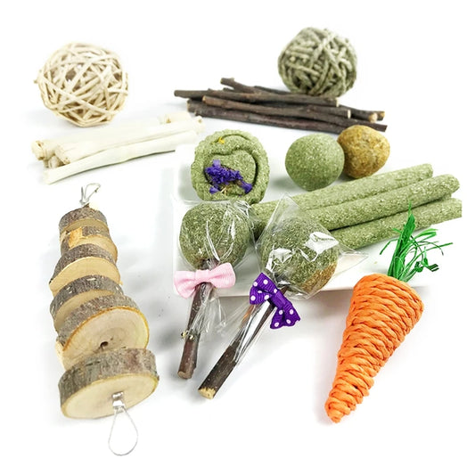Rabbit Chew Toys Set