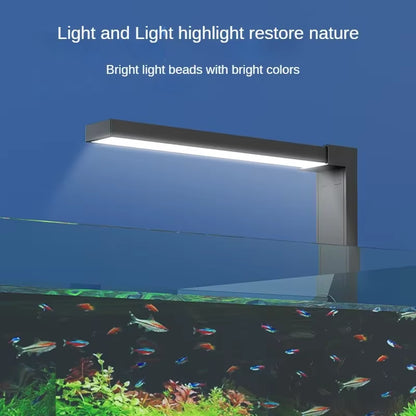 Small Fish Tank LED Lamp 