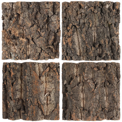 Background Cork Bark Tank Decor
